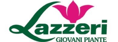 Lazzeri